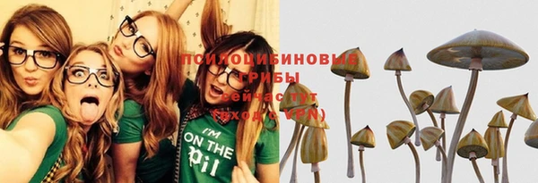 прущая мука Арсеньев