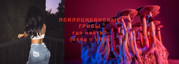 соль ск Бронницы
