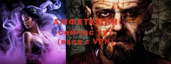 прущие грибы Балабаново