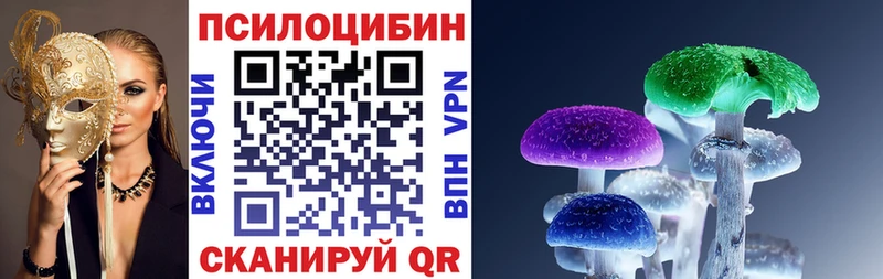 Галлюциногенные грибы GOLDEN TEACHER  где купить наркотик  Тара 