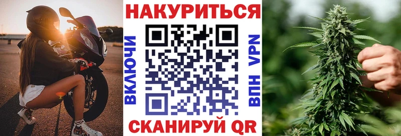 Бошки Шишки планчик  omg ТОР  Тара 